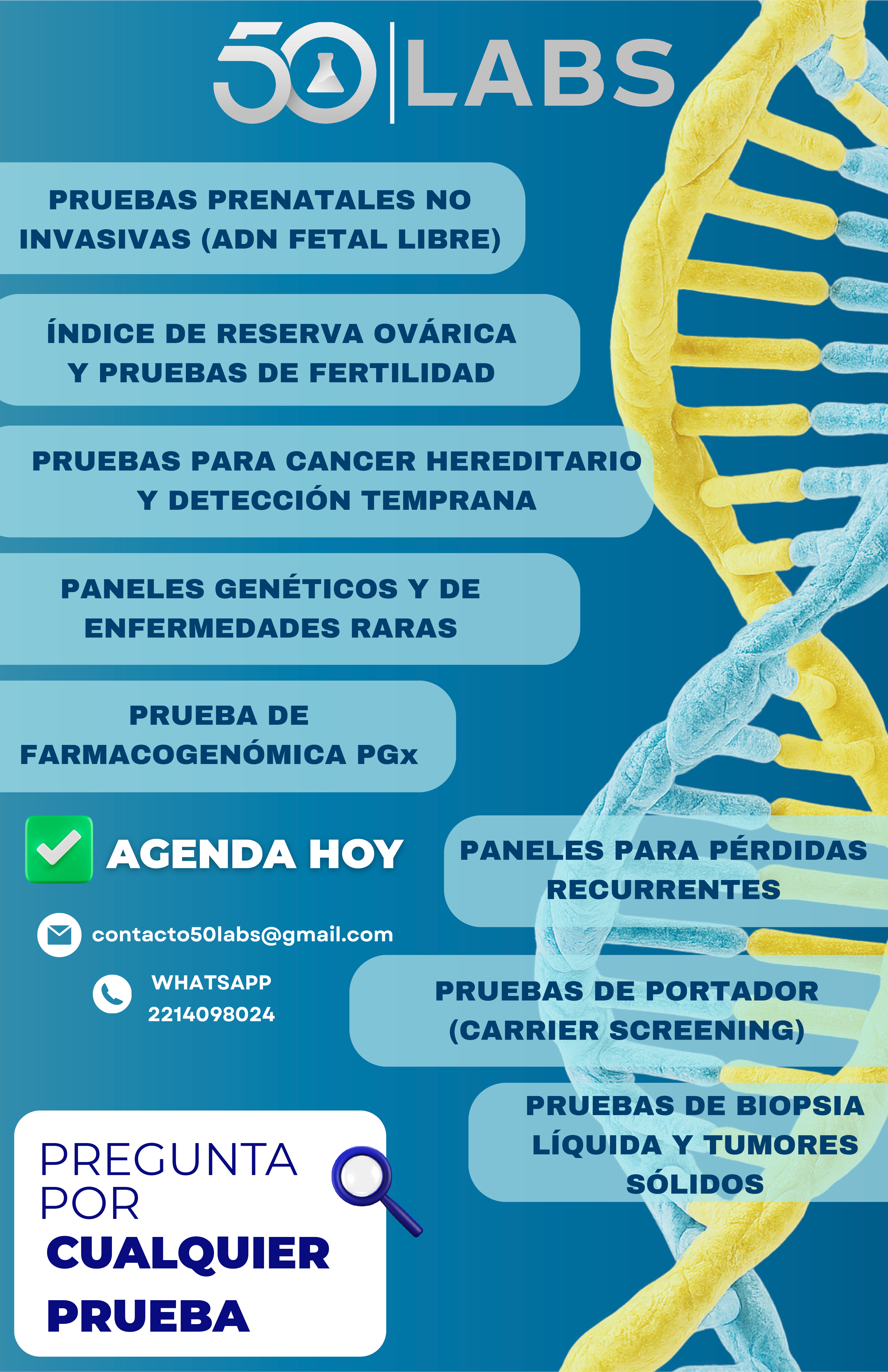 Servicios de alta especialidad